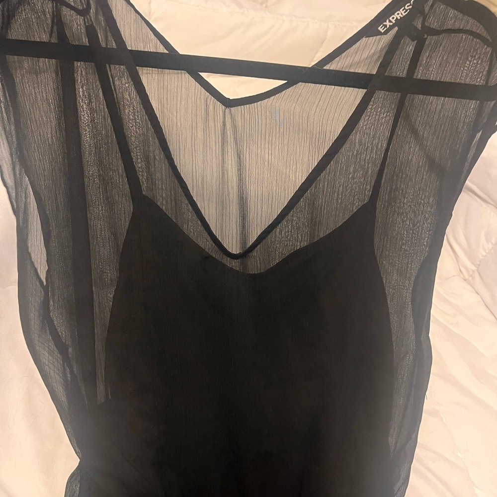 Express Sheer Black Mini Dress